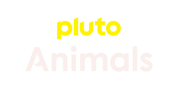 Pluto TV Animals