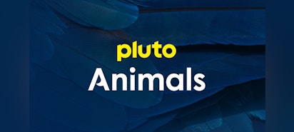 Pluto TV Animals on Pluto TV
