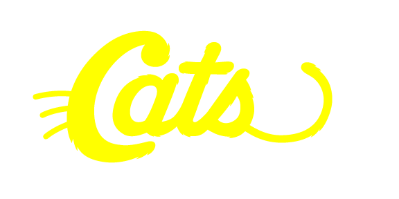 Cats 24/7