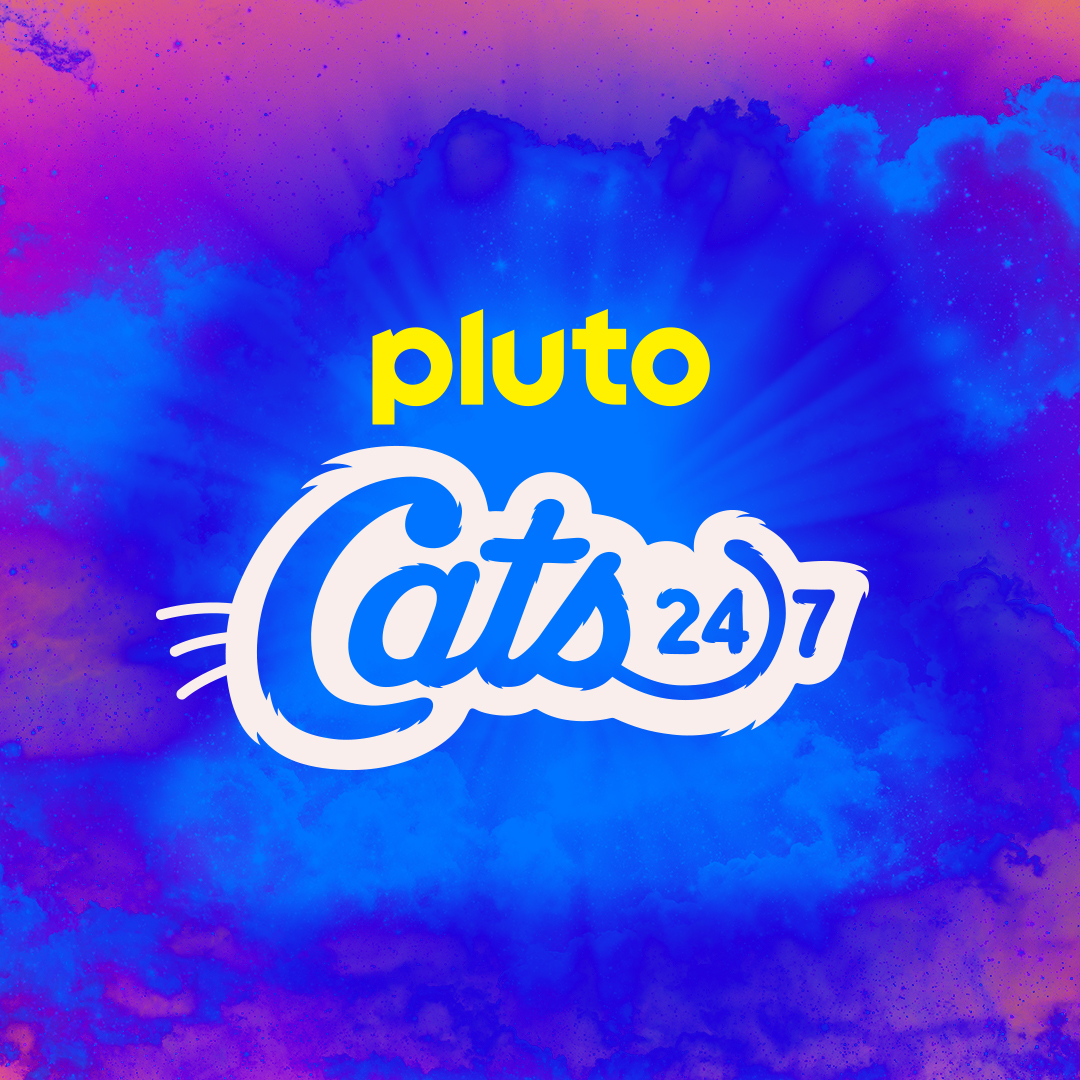 All cats, all the time. 24/7/365. We've got kittens too. Meow-mazing.