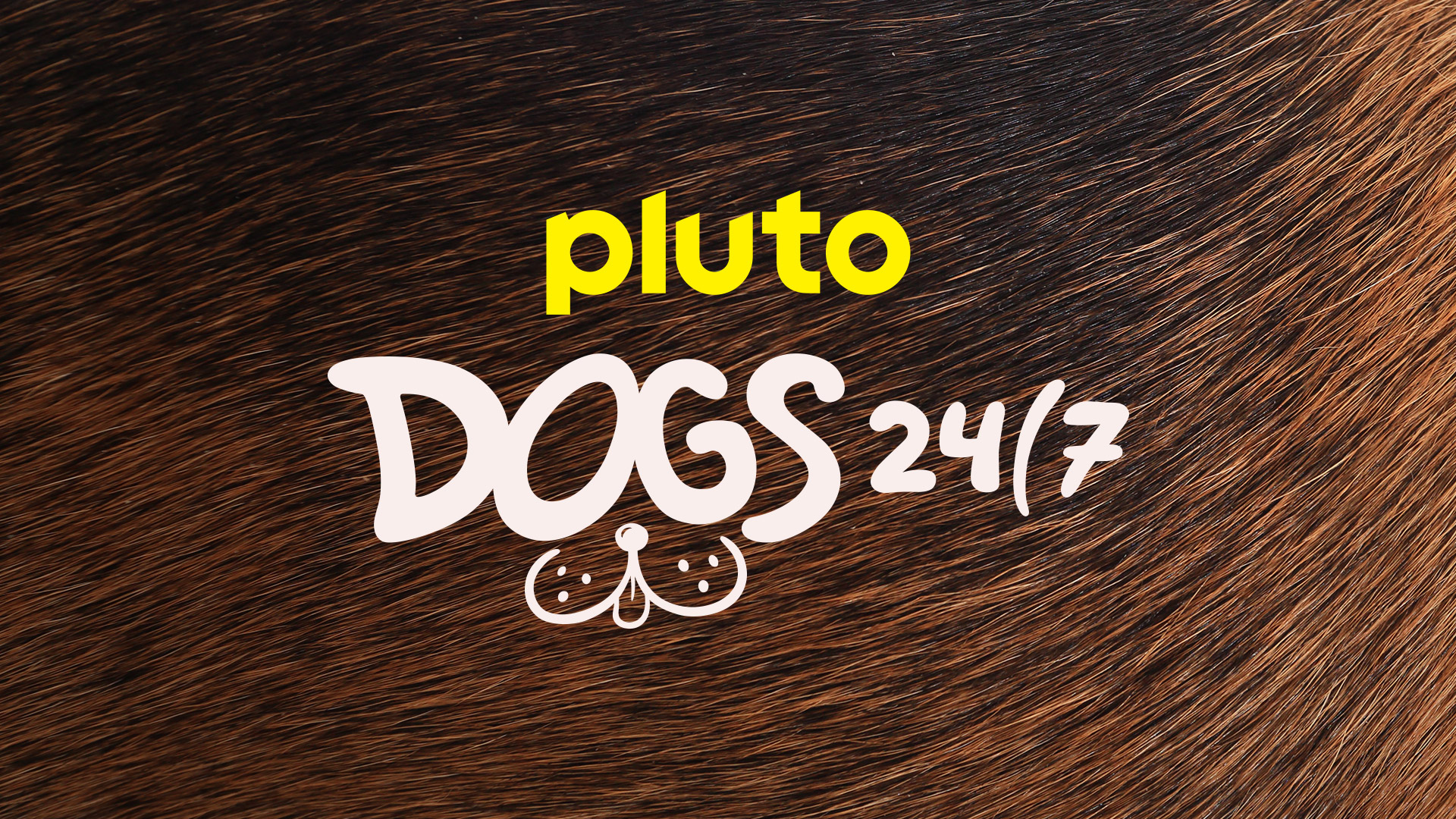 Dogs 24/7 On Pluto TV