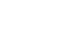 602 TOTALLY TURTLES