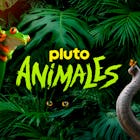 Todas las maravillas que nos regala el mundo animal están en PlutoTV Animales, el canal donde te pueden rugir, ladrar o llenar de ternura para siempre sorprenderte y mejorar tu día. Desde los más salvajes hasta los más amigables: Pluto TV Animales.