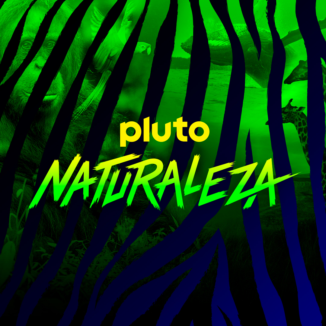 Explora los lugares más impactantes de nuestro planeta. Sumérgete en los más profundos océanos, escala las montañas más altas, recorre impenetrables selvas y vastos desiertos, emprende un viaje infinito con Pluto TV Naturaleza.