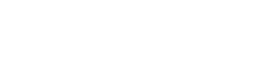1495 The New Detectives