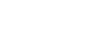 1495 The New Detectives