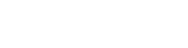 245 The Asylum
