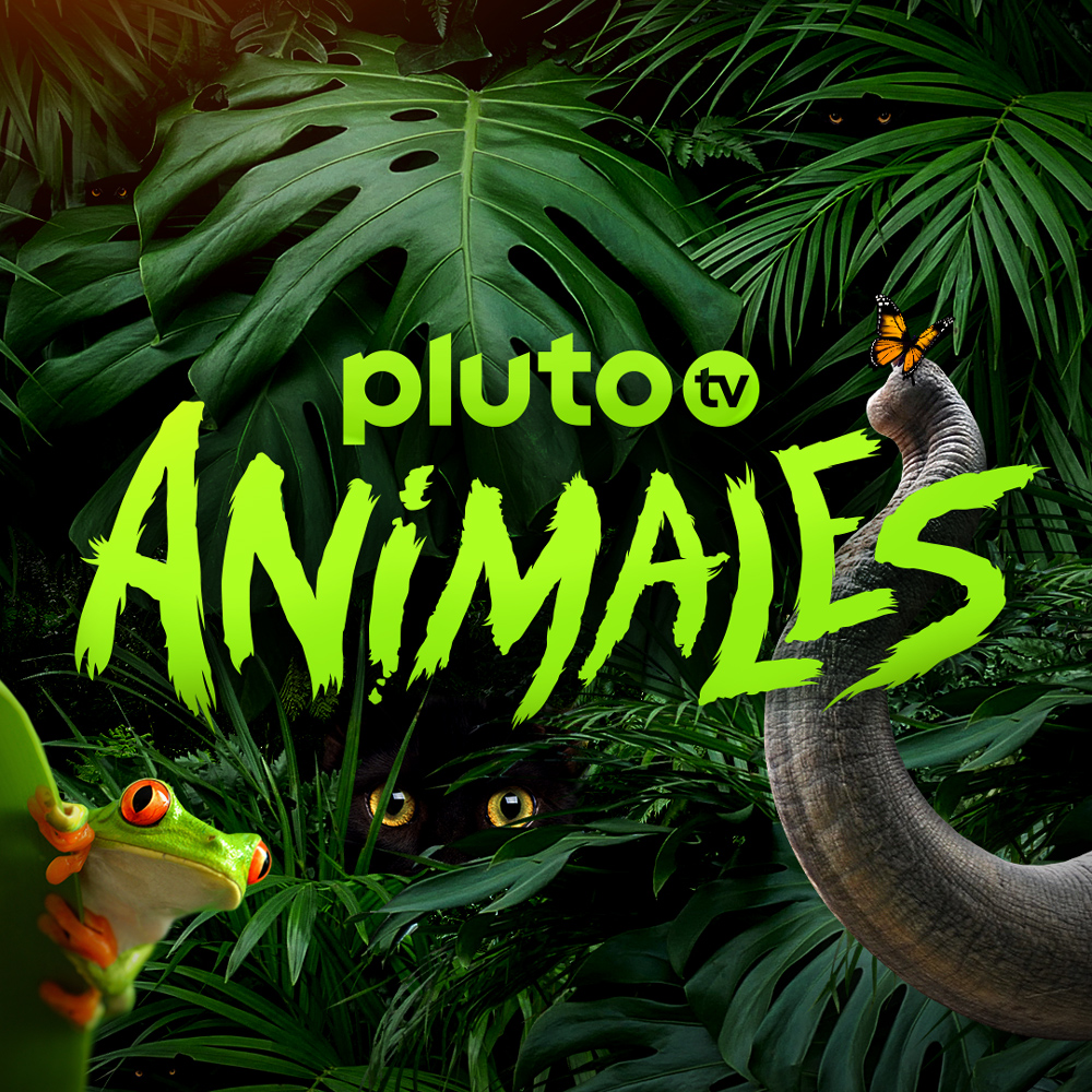 Todas las maravillas que nos regala el mundo animal están en Pluto TV Animales, el canal donde te pueden rugir, ladrar o llenar de ternura para sorprenderte y mejorar tu día. Desde los más salvajes hasta los más amigables.