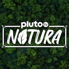 Pluto TV Natura è completamente naturale! Vogliamo dare allo spettatore uno sguardo puro su tutte le cose della natura con una visione di posti meravigliosi in tutto il mondo e fargli scoprire nuovi animali e paesaggi incontaminati.