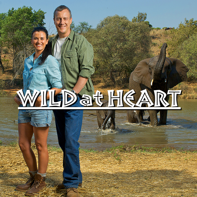 Wild at Heart, the feel good British family drama series, which sees Bristol Vet (Stephen Tompkinson) and his family emigrating to start a game park in South Africa. Watch it now 24/7!