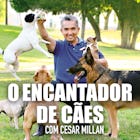Com uma habilidade única para ver o mundo através de seus olhos, o especialista em treinamento de cachorros César Millán mostra como cuidar dos cães com problemas e solucionar questões de atitude, do melhor amigo do homem e de seus donos.