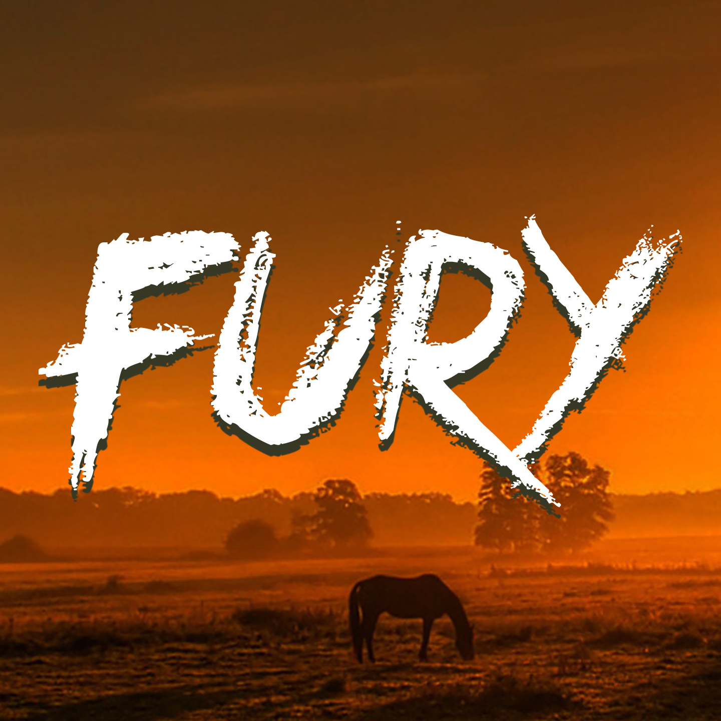 Nachdem der Waisenjunge Joe per Gerichtsbeschluss auf die Pferderanch von Jim Newton kommt, freundet er sich mit dem wilden schwarzen Hengst Fury an und gemeinsam erleben sie fortan viele Abenteuer.