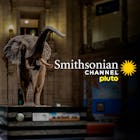 Smithsonian Channel Pluto TV é o canal para os fãs de documentários. Você vai aprender sobre cultura, ciência, história, arte e muito mais em um só lugar. E o melhor, se divertindo. Na Pluto TV.