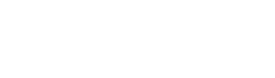 293 Beyond History