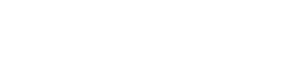 535 Cazasubastas