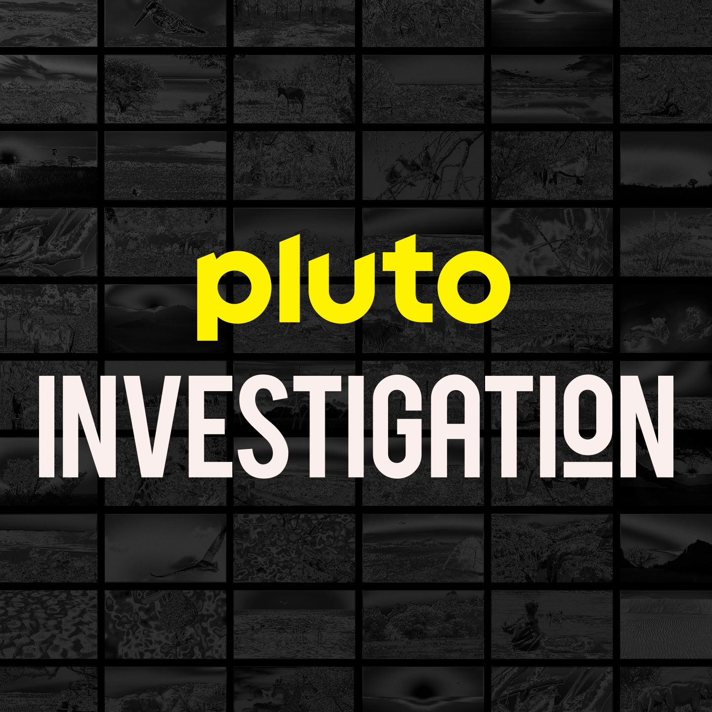 Get deep into the world's most shocking crimes 24/7 on Pluto TV Investigation.