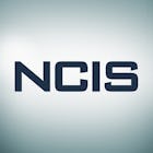 NCIS é uma série que acompanha um time de agentes especiais do Serviço de Investigação Criminal Naval na apuração de eventos relacionados à Marinha dos Estados Unidos, enquanto eles têm que lidar com seus próprios conflitos pessoais.