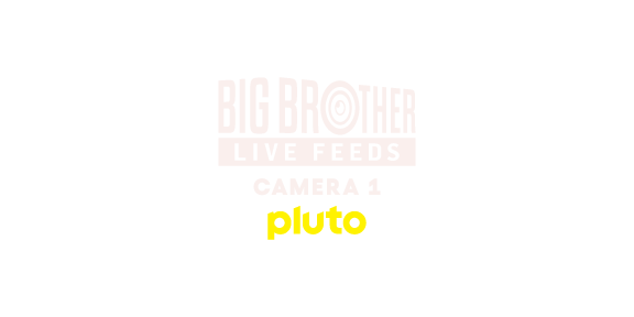 Big Brother Camera 1