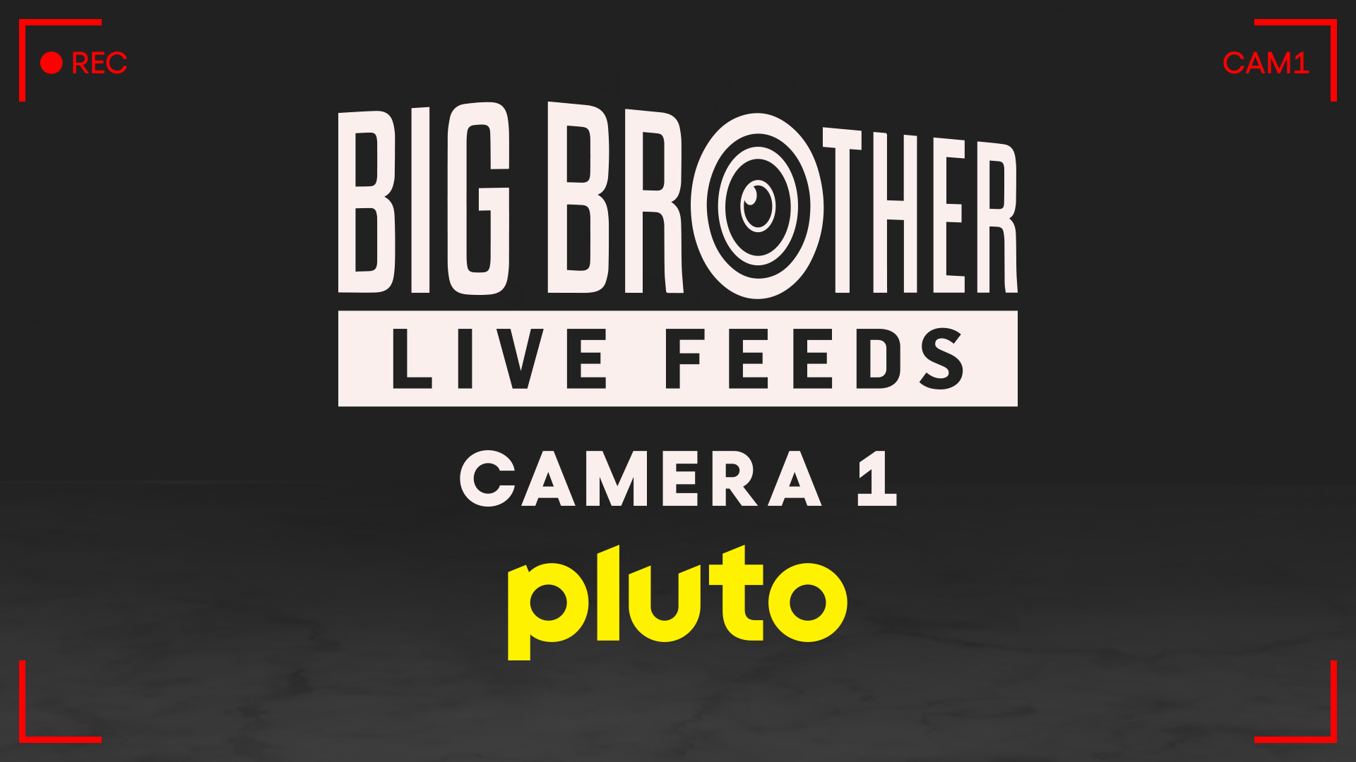 Big Brother Camera 1