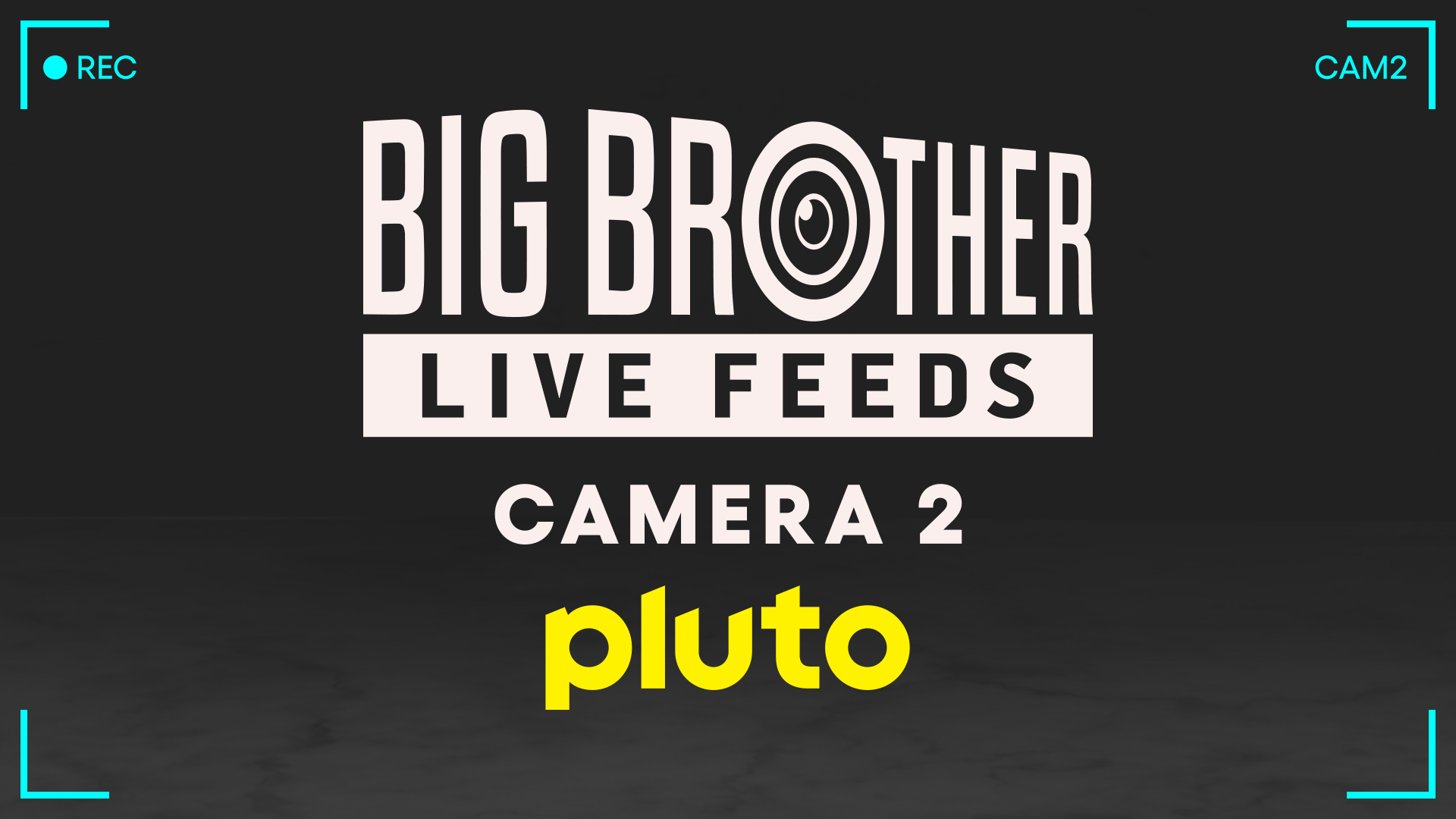 Big Brother Camera 2