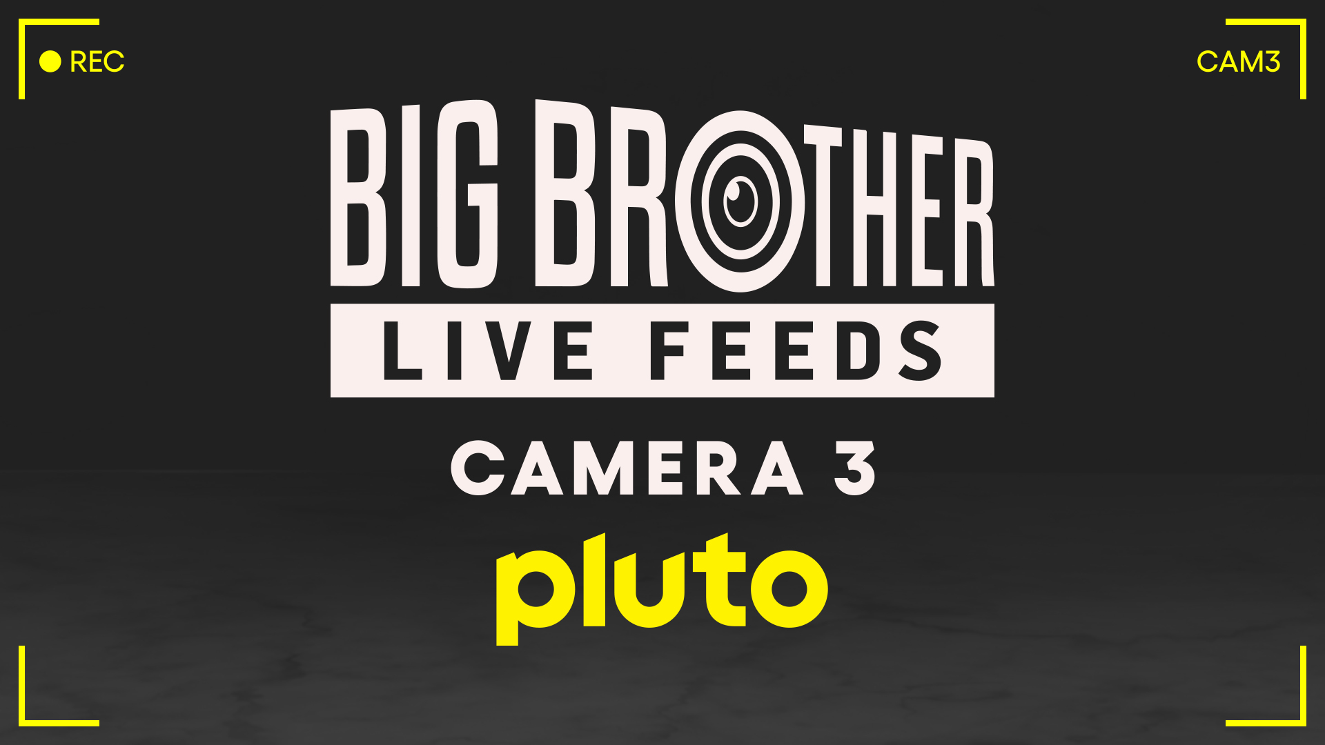 Big Brother Camera 3