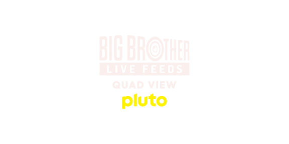Big Brother Quad View