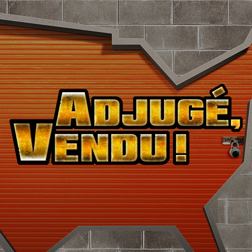 Suivez l’équipe de "Adjugé, vendu !" et découvrez les objets insolites dont regorgent des containers de stockage et autres garde-meubles. De bonnes surprises sont au rendez-vous!