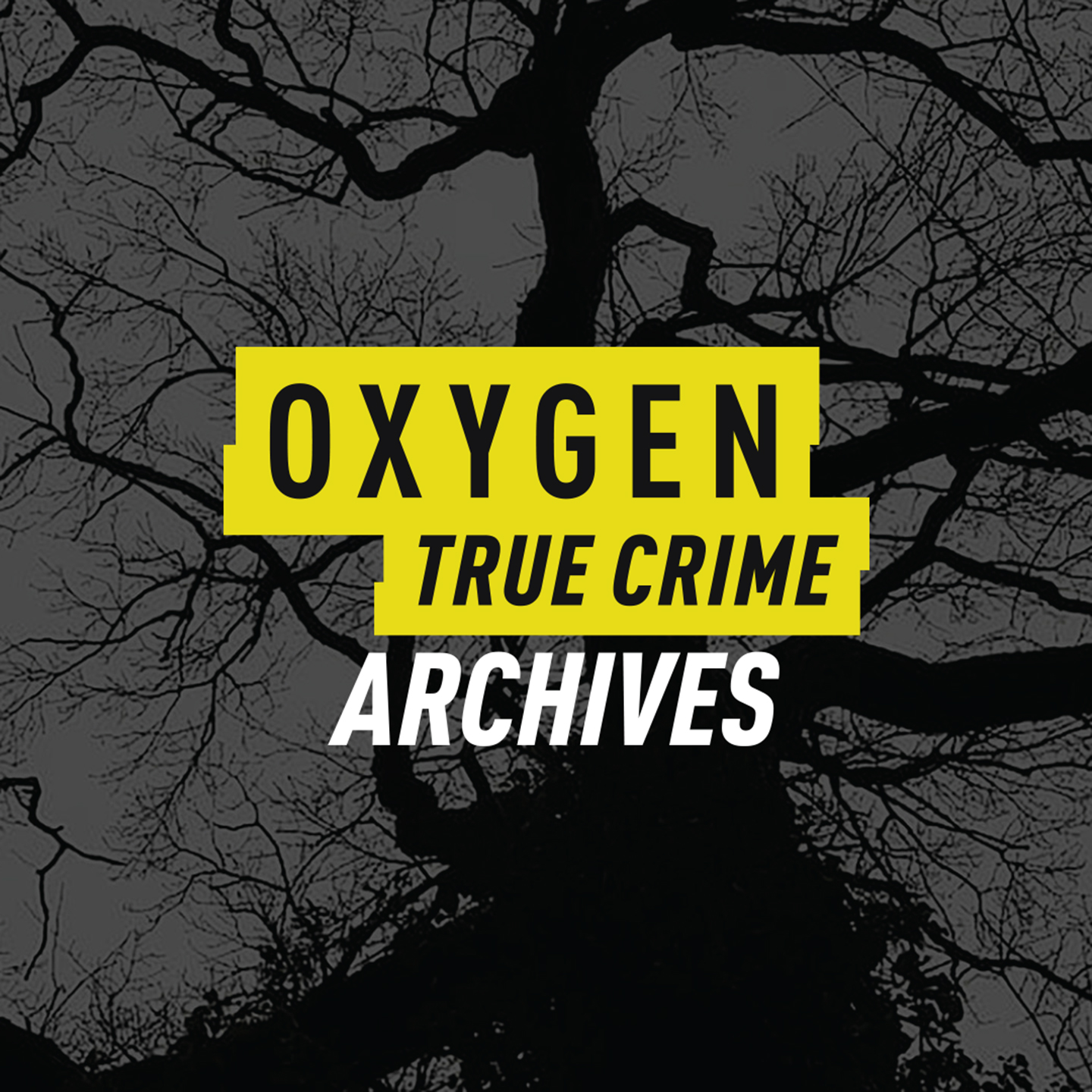 Oxygen True Crime Archives is your home for infamous cases, deep dives, and gripping moments of justice served.