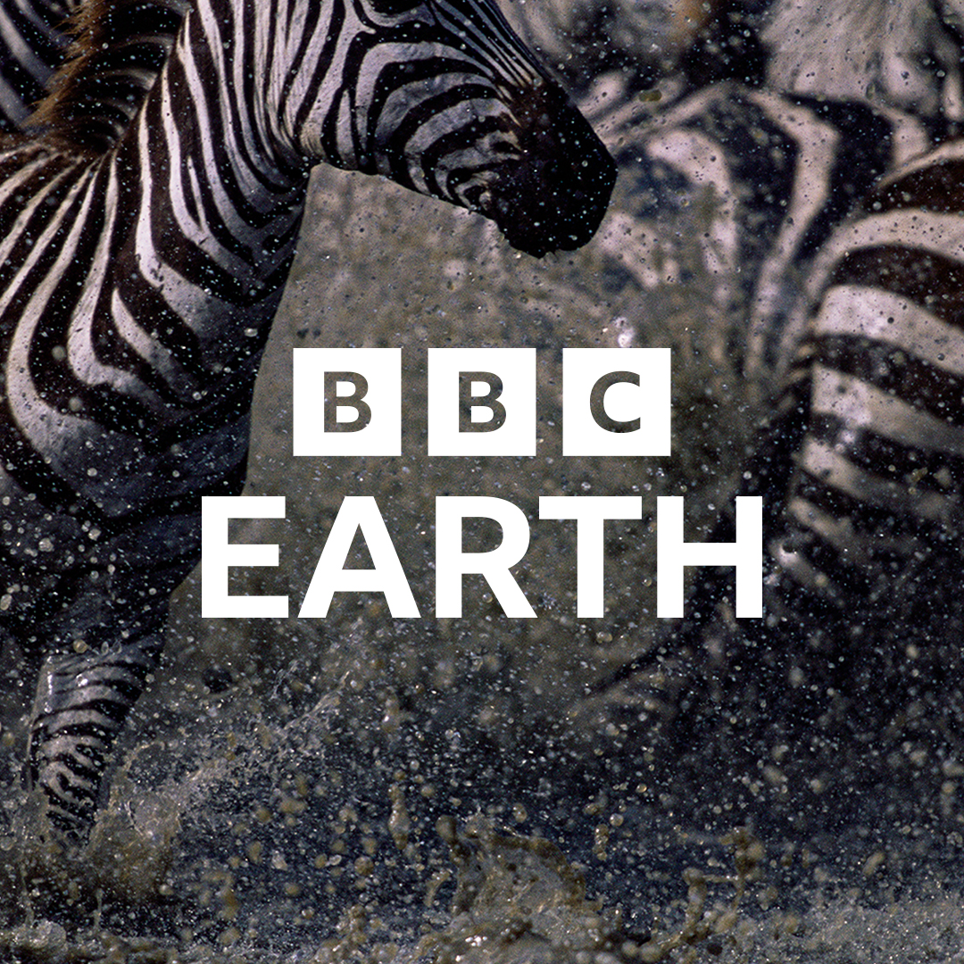 BBC Earth brings you heart-pounding action, mind-blowing sights, and the wonder of this amazing planet we call home on Pluto TV.