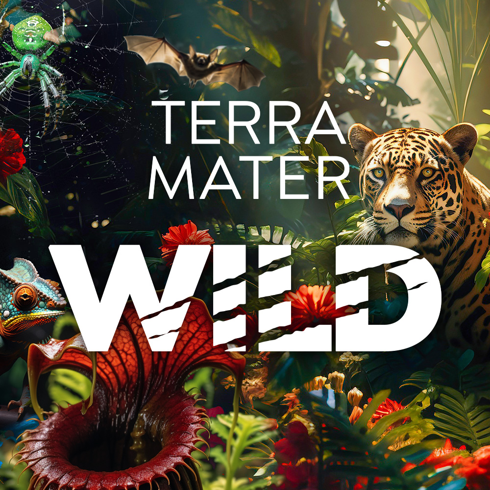 Faszinierende Tierdokus und atemberaubende Naturfilme zum Staunen, Entspannen und Entdecken – auf Terra Mater WILD.