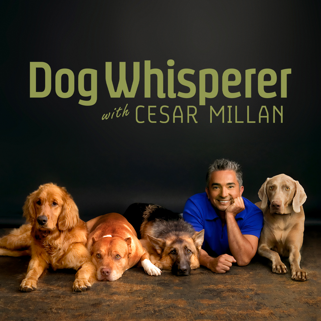 Renowned dog behaviorist, Cesar Millan, has an uncanny ability to rehabilitate problem dogs of all shapes and sizes. Watch your favorite episodes any time, every day on Pluto TV.