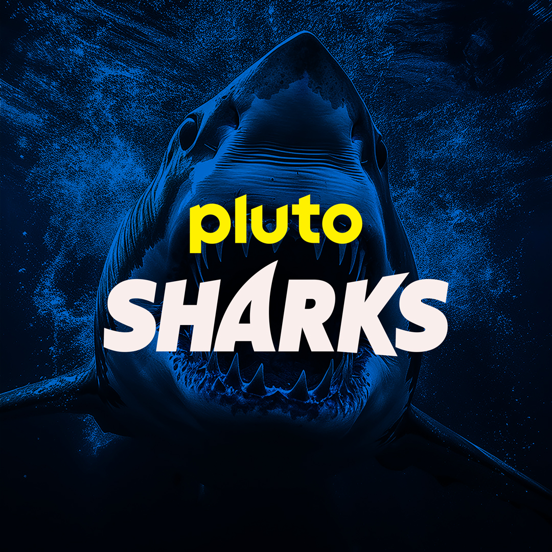 Endlose Sandstrände, eine frische Meeresbrise, Entspannung pur... Gibt's woanders! Pluto TV Sharks bringt dir die gefährlichsten Meereskreaturen direkt ins Wohnzimmer. Hier ist Herzrasen garantiert!