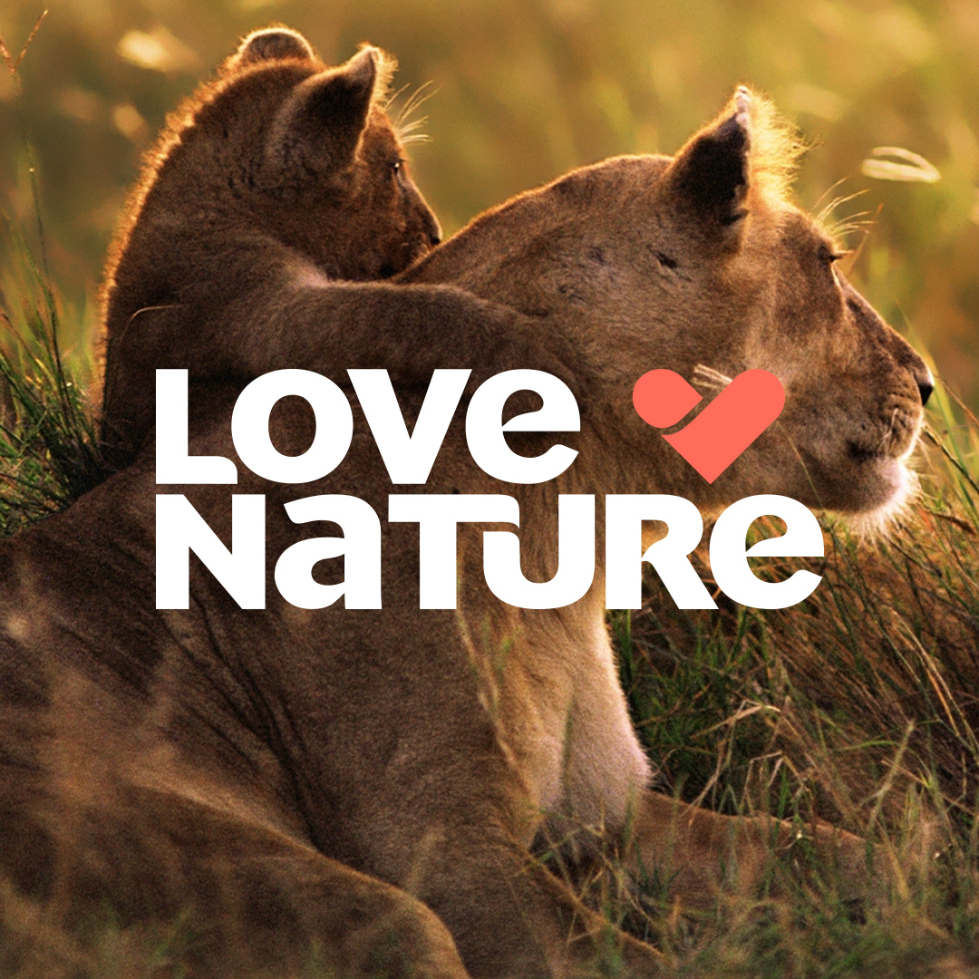 Get closer to nature and deepen your understanding of our complex natural world. Filmed in the highest quality, Love Nature offers viewers powerful stories of nature's beauty and wonder from around the globe.