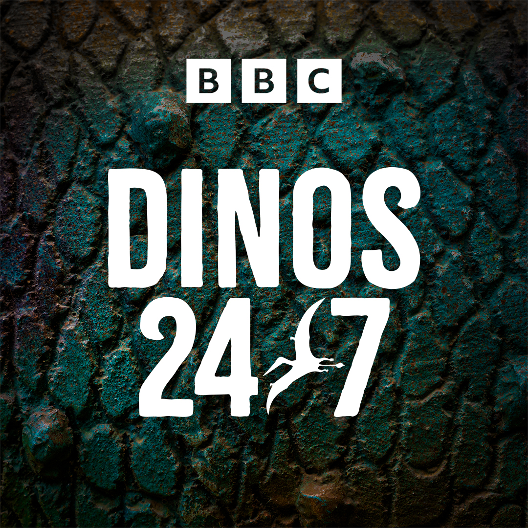 Discover the awe-inspiring world of razor-sharp claws, massive tails, and groundbreaking archaeological finds. With captivating shows like Walking with Dinosaurs and Deadly Dinosaurs, every moment on DINOS 24/7 promises a new adventure!
