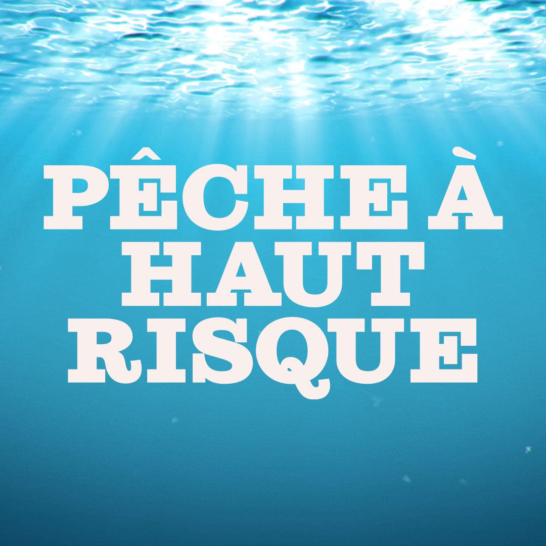 Des équipes de pêcheurs aguerris affrontent les éléments — et se défient entre eux — pour attraper le plus gros thon rouge dans cette série de téléréalité captivante.