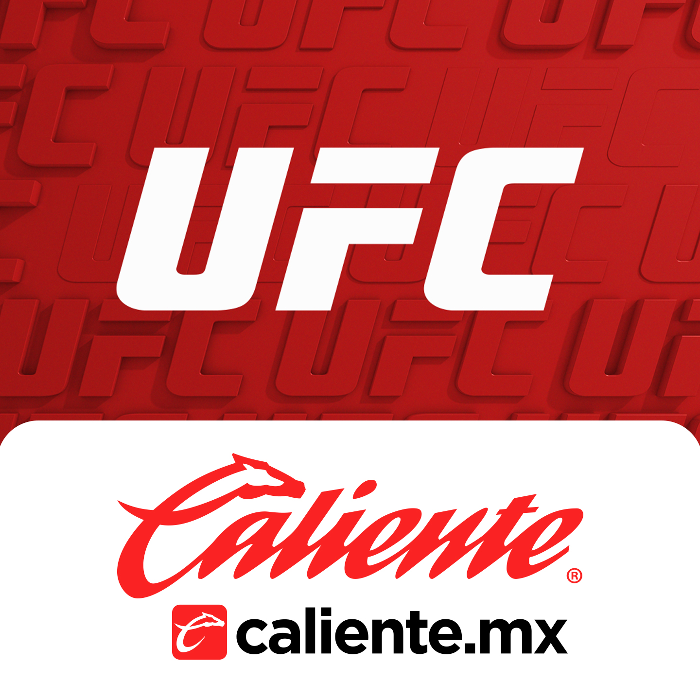 Las mejores peleas, los mejores luchadores y los momentos más destacados de la principal organización de MMA del mundo.