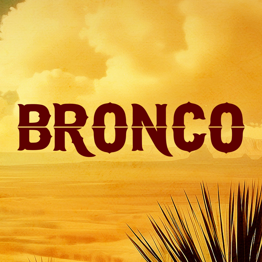 Entdecken Sie eine umfangreiche Sammlung von Westernfilmen, die sich an ein breites und leidenschaftliches Publikum richten. Bronco ist das ultimative Ziel für diejenigen, die sich nach spannender, actiongeladener Unterhaltung sehnen.