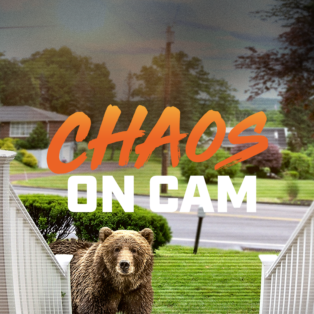 Drop into real-life moments too wild to believe. Featuring Neighborhood Wars, Road Wars, Customer Wars and more, you can binge all the close calls on the road, unexpected encounters at home, and worst days on the job to cringy to miss.