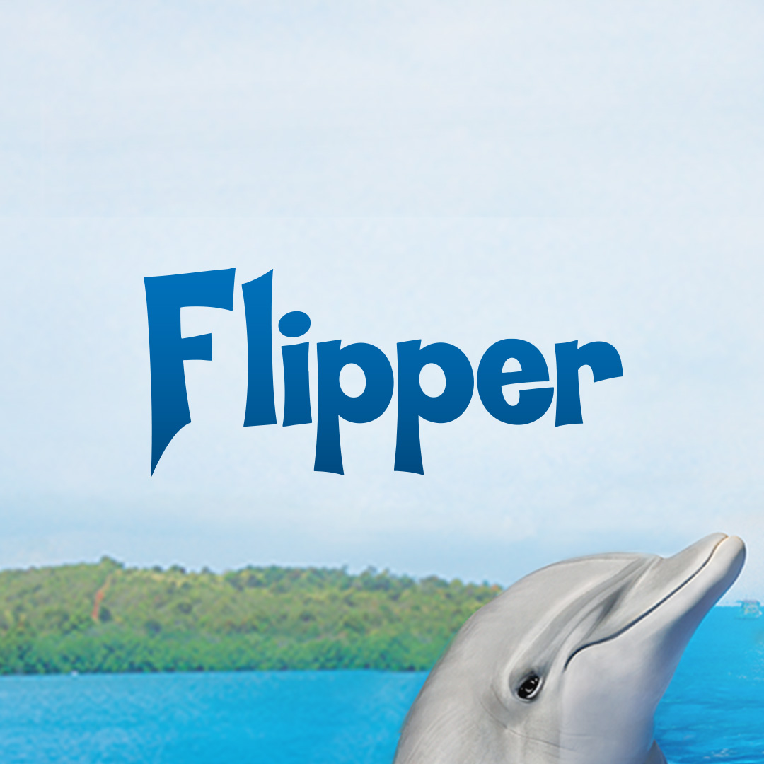 Schwelge in Erinnerungen mit den Geschichten eines wundervollen Delphins und der bezaubernden Titelmelodie: „Man ruft nur Flipper, Flipper! Gleich wird er kommen, jeder kennt ihn – den klugen Delphin.