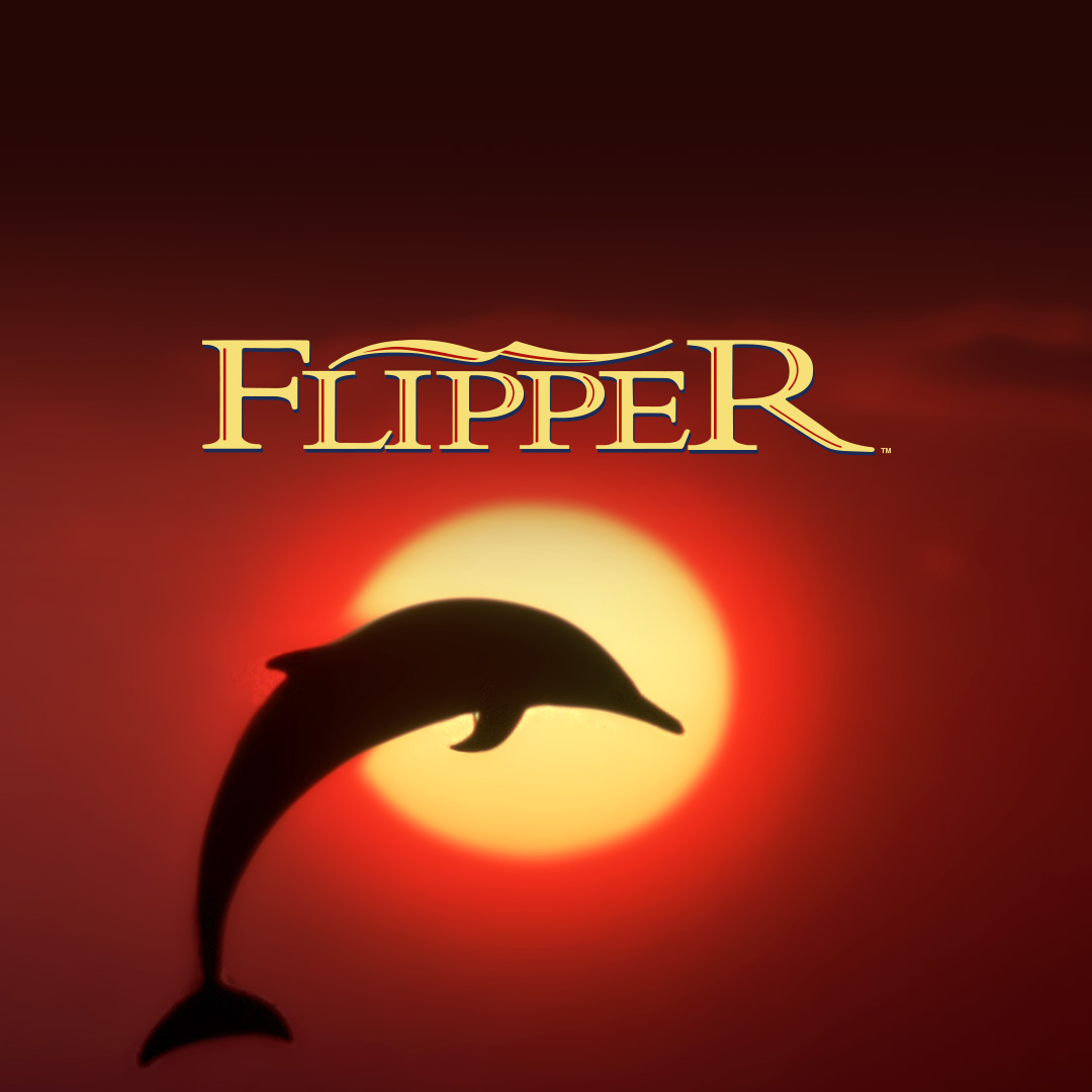 Dr. Keith Ricks återvänder till ett team av forskare som studerar delfiner. Maya (Jessica Alba) har en speciell kontakt med delfinen Flipper & får ofta hjälp av Flipper att lösa problem och rädda människor. Denna serien visas utan svenska undertexter.