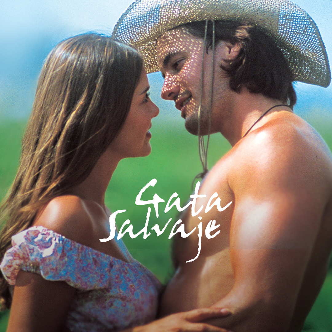 Un canal dedicado por completo a la mítica telenovela Gata Salvaje. Esta apasionante novela cuenta la historia de Rosaura Ríos, una joven a quien llaman Gata Salvaje por su carácter indomable y su gran valentía.