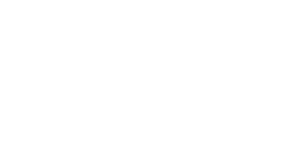 Road to UFC at the White House
