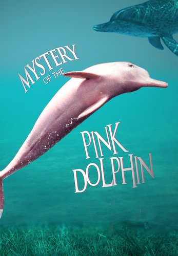 Mystery of the Pink Dolphin