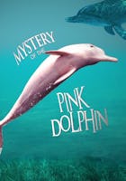 Mystery of the Pink Dolphin