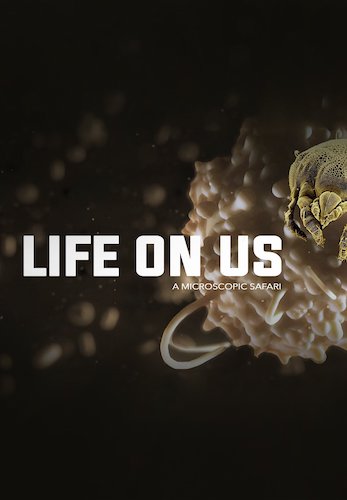 Life on Us: A Microscopic Safari
