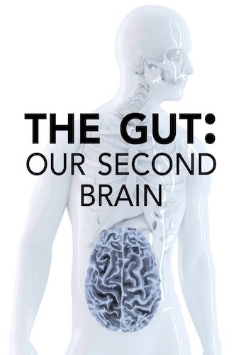 The Gut: Our Second Brain (2014)