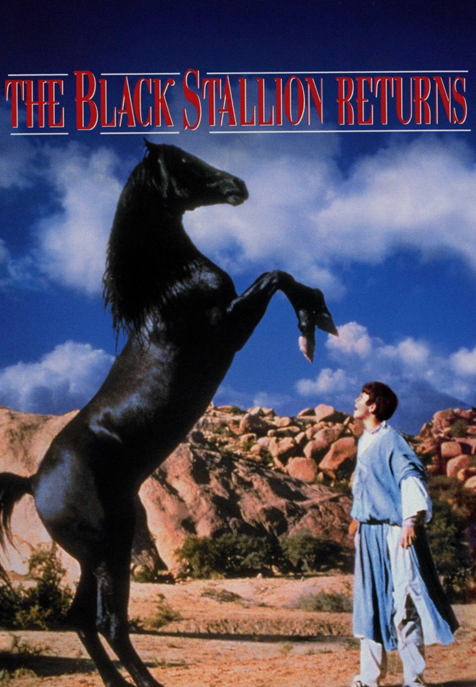 The Black Stallion Returns