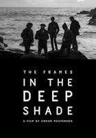 The Frames: In the Deep Shade (2013)