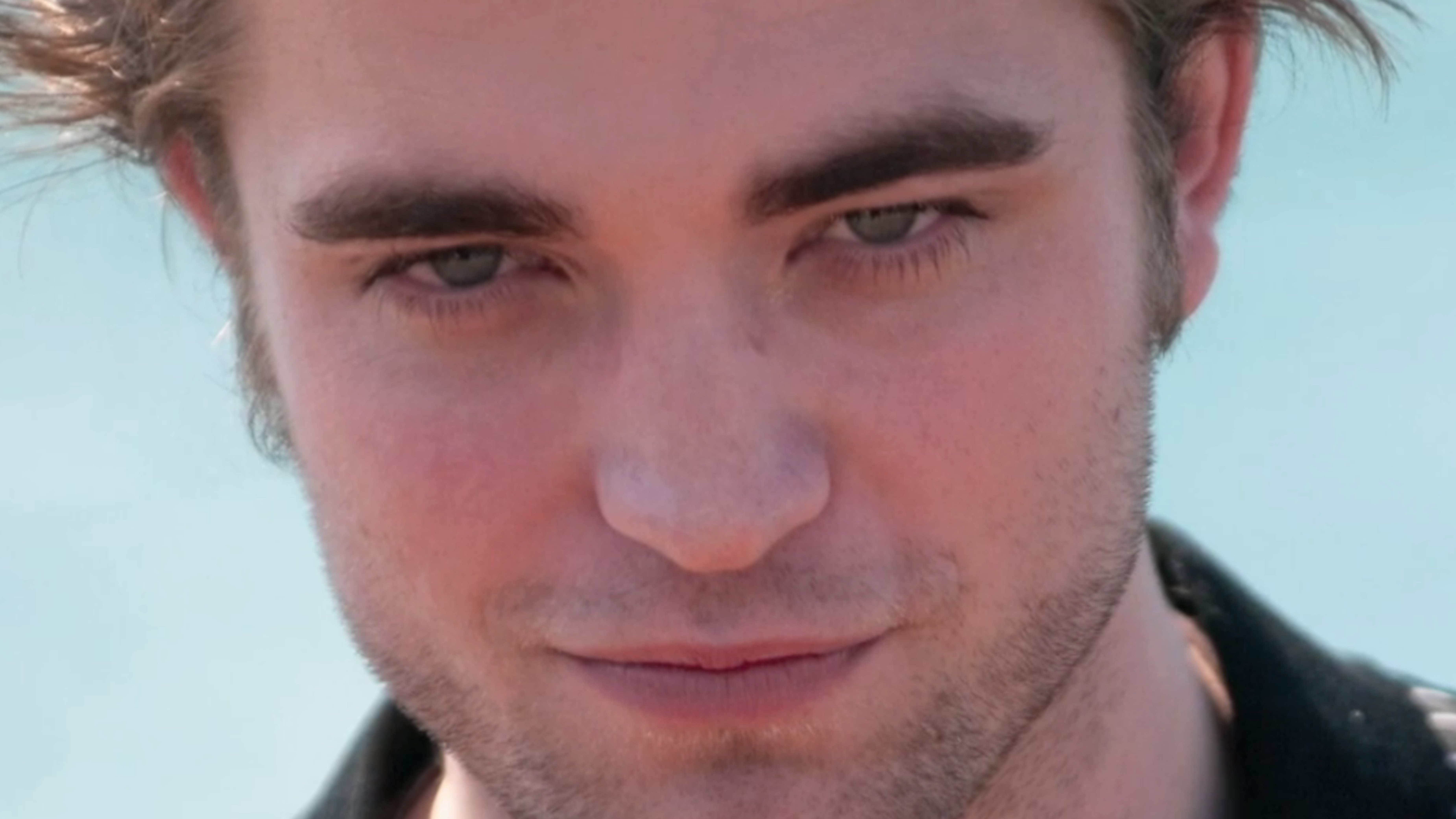 Twilight Alpha Males (2013) Watch Free on Pluto TV United States