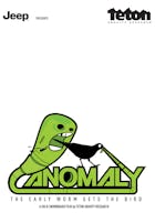 Anomaly: The Early Worm Gets the Bird
